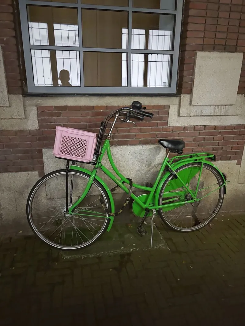 A green bicycle with a pink crate under a gridded window in an Amsterdam alley